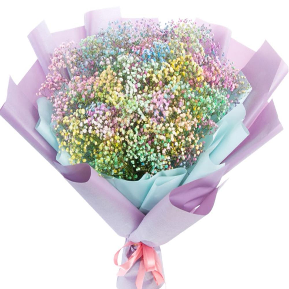 Разноцветная Гипсофила (крашеная) в Упаковке Разноцветная Гипсофила (крашеная) в Упаковке